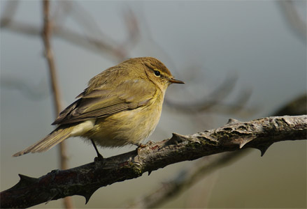 vergr&ouml;&szlig;ern