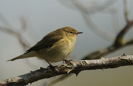 vergr&ouml;&szlig;ern