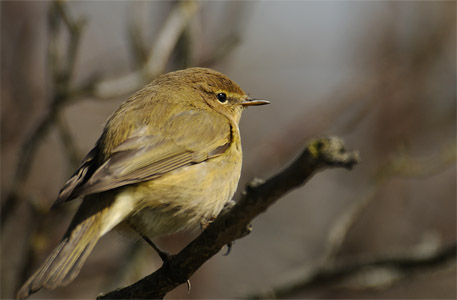 vergr&ouml;&szlig;ern