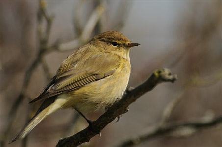 vergr&ouml;&szlig;ern