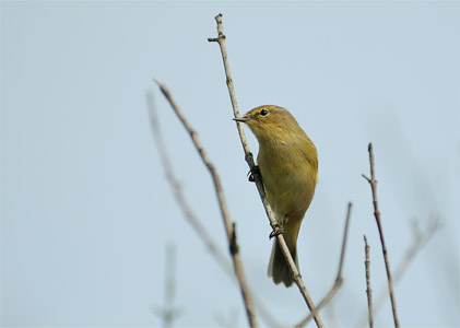 vergr&ouml;&szlig;ern