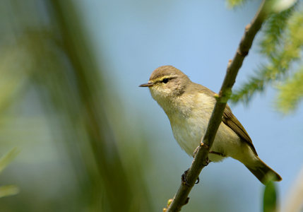 vergr&ouml;&szlig;ern
