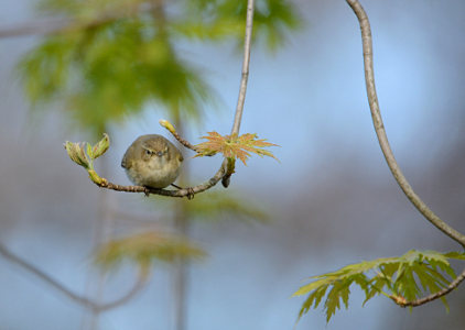 vergr&ouml;&szlig;ern