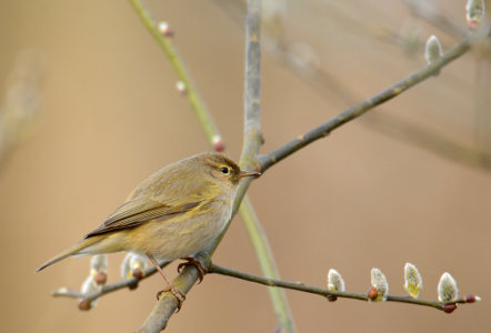 vergr&ouml;&szlig;ern