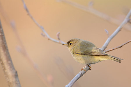 vergr&ouml;&szlig;ern