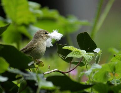 vergr&ouml;&szlig;ern