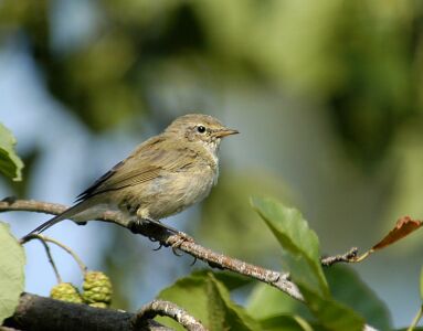 vergr&ouml;&szlig;ern
